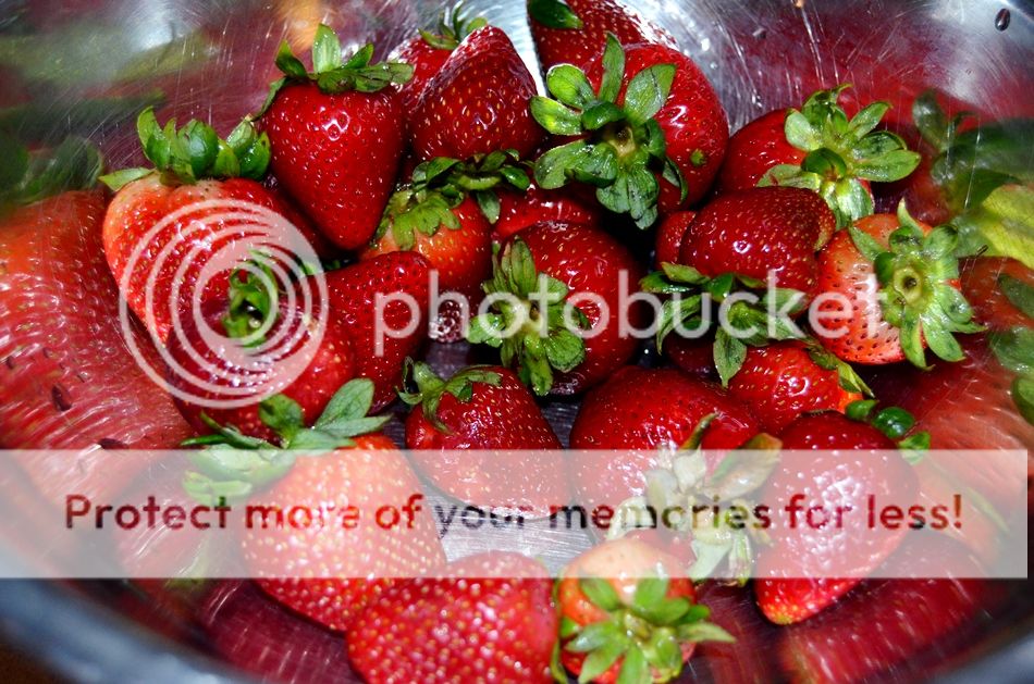 berries_zpsc4809056.jpg